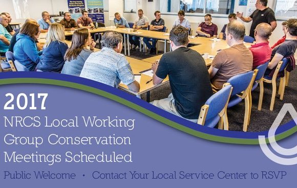 The Power of Your Voice at a Local Working Group (LWG) The Power of Your Voice at a Local Working Group (LWG)