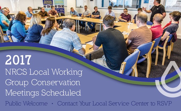 The Power of Your Voice at a Local Working Group (LWG) The Power of Your Voice at a Local Working Group (LWG)