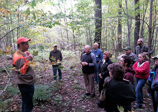 Oak Workshop: Oak in Southwest WI Faces Two Key Challenges Oak Workshop: Oak in Southwest WI Faces Two Key Challenges