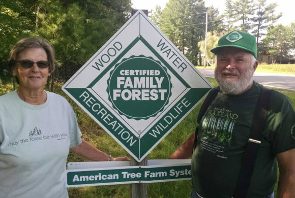Ask the Expert: Should I Seek Forest Certification? Ask the Expert: Should I Seek Forest Certification?