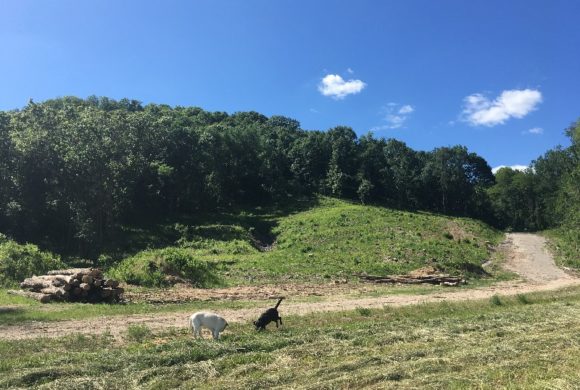 It Takes a Village to Care for Land It Takes a Village to Care for Land