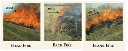 Three types of fire: Head fire (left), back fire (middle), and flank fire (right).