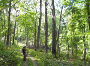 Two hikers in woods