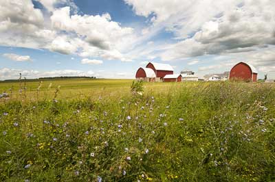Prairie with farm buildings in background