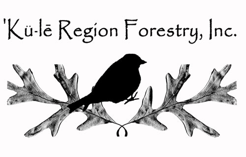 Logo of 'Ku-le Region Forestry, Inc.