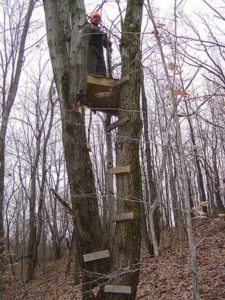 Man in tree stand