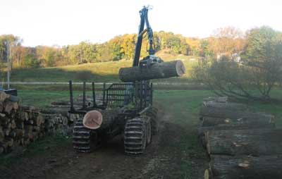 Logging equipment loading logs