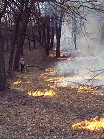 Person conducting prescribed burn