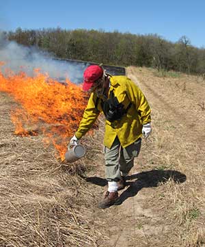 Man lighting field on fire