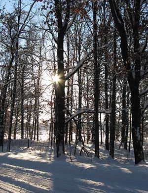 Polar Vortex Effects? Spring Will Soon Tell Polar Vortex Effects? Spring Will Soon Tell