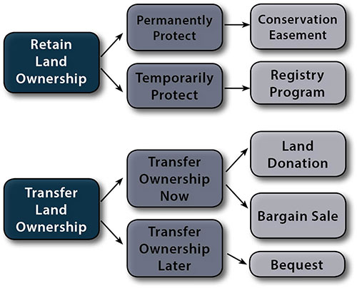 Diagram of options for protecting land