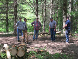 Five men standing in woods