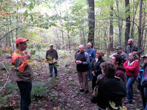 Group of people standing in oak woods