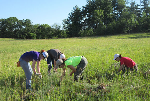 Payments for Conservation: The Conservation Stewardship Program Payments for Conservation: The Conservation Stewardship Program