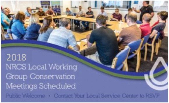 The Power of Your Voice at a Local Working Group (LWG) The Power of Your Voice at a Local Working Group (LWG)