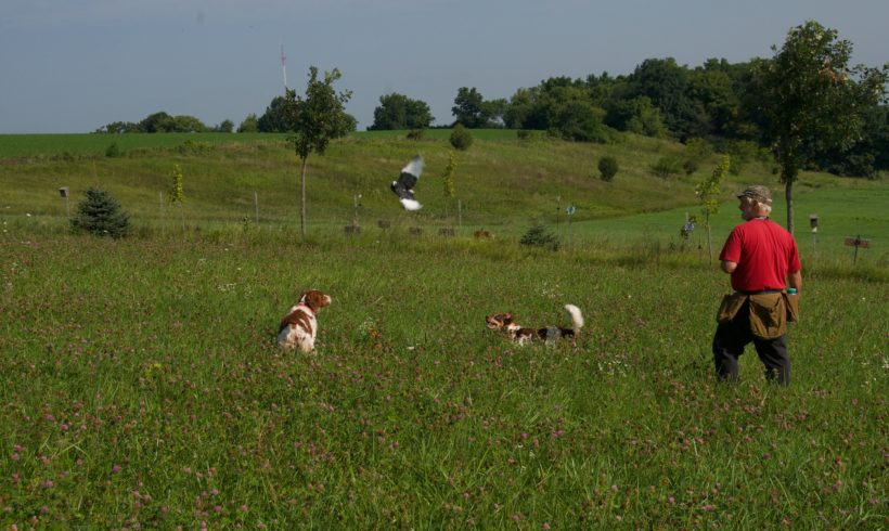 Dogs, Land, People, and Potential Dogs, Land, People, and Potential