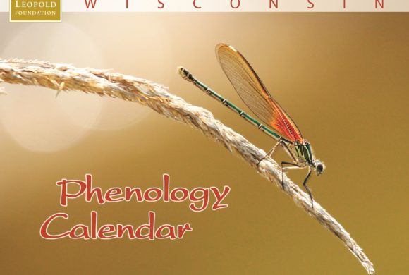 The Ecology of Phenology The Ecology of Phenology