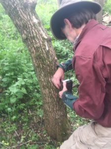 Doug attaches our Snapshot Wisconsin trailcam