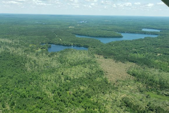 High Winds Damaged My Woods – What should I do? High Winds Damaged My Woods – What should I do?
