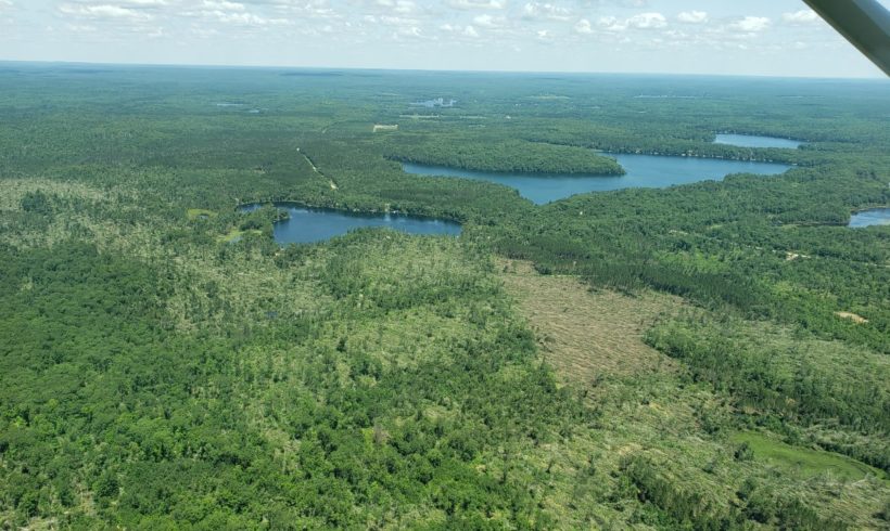 High Winds Damaged My Woods – What should I do? High Winds Damaged My Woods – What should I do?