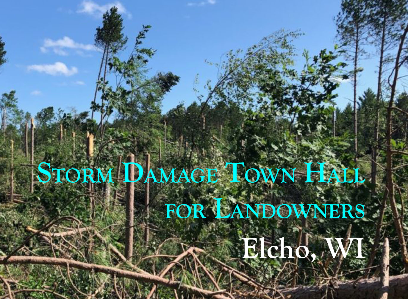 Storm Damage Town Hall Elcho