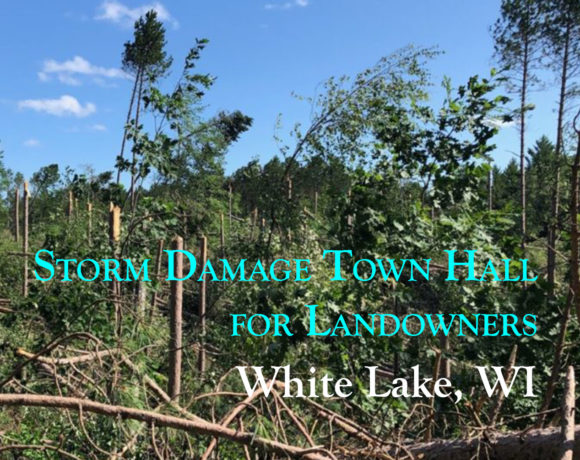 Storm Damage Town Hall White Lake
