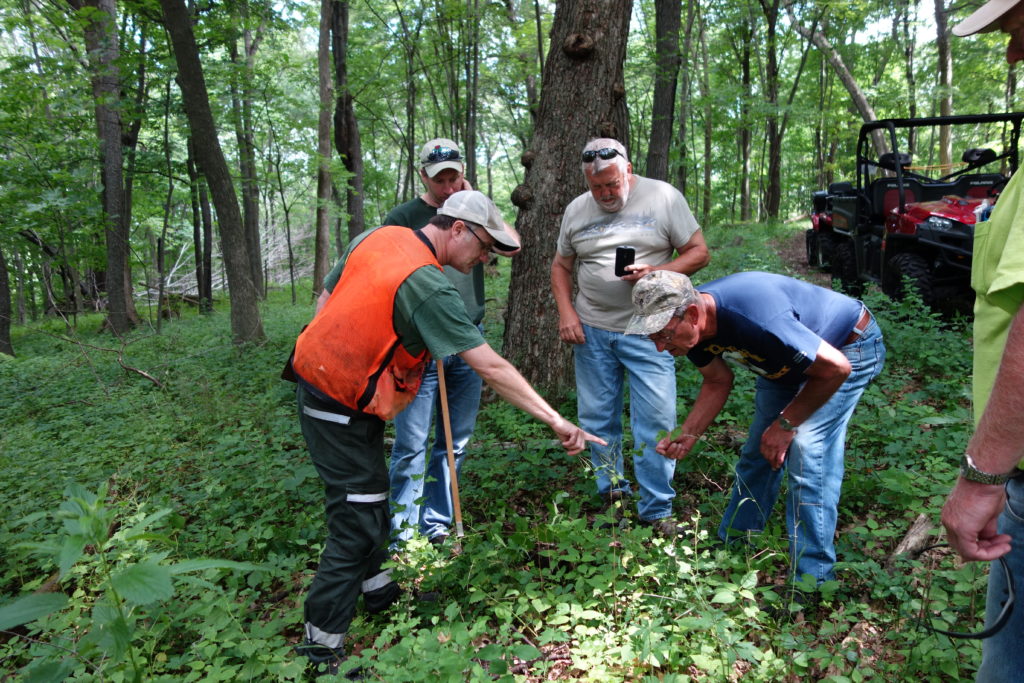 Deer Management Program a Resource for Landowners - My Wisconsin Woods