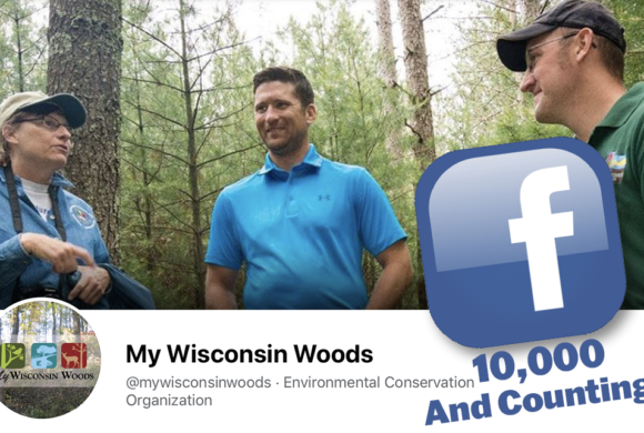 My Wisconsin Woods Facebook @ 10,000 Followers! My Wisconsin Woods Facebook @ 10,000 Followers!
