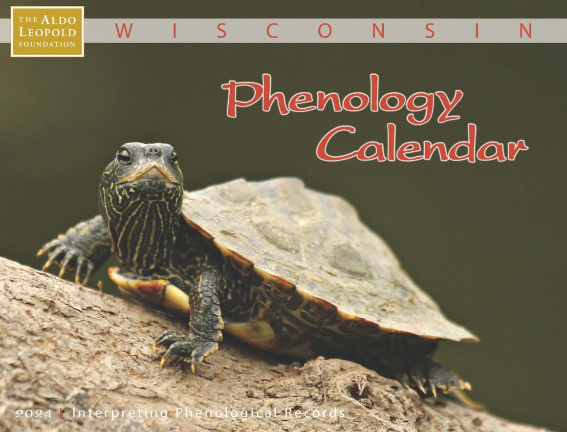 Keeping Track Frequently Asked Questions About Phenology My