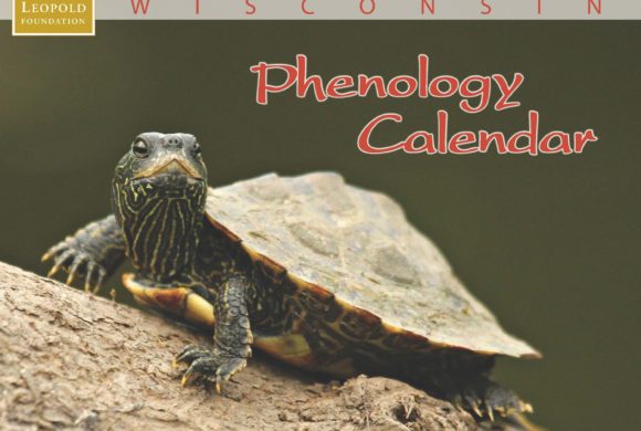 Psst! The 2021 Phenology Calendar is On Sale! Psst! The 2021 Phenology Calendar is On Sale!