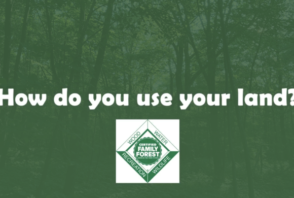 Virtual Field Days Help You Manage for Sustained Wildlife, Environment, and Timber Virtual Field Days Help You Manage for Sustained Wildlife, Environment, and Timber