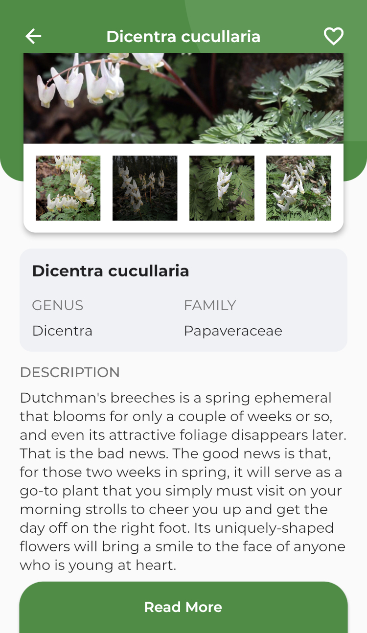 Which Plant ID App Should I Download? - My Wisconsin Woods