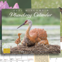 The 2022 Phenology Calendar is On Sale Now!