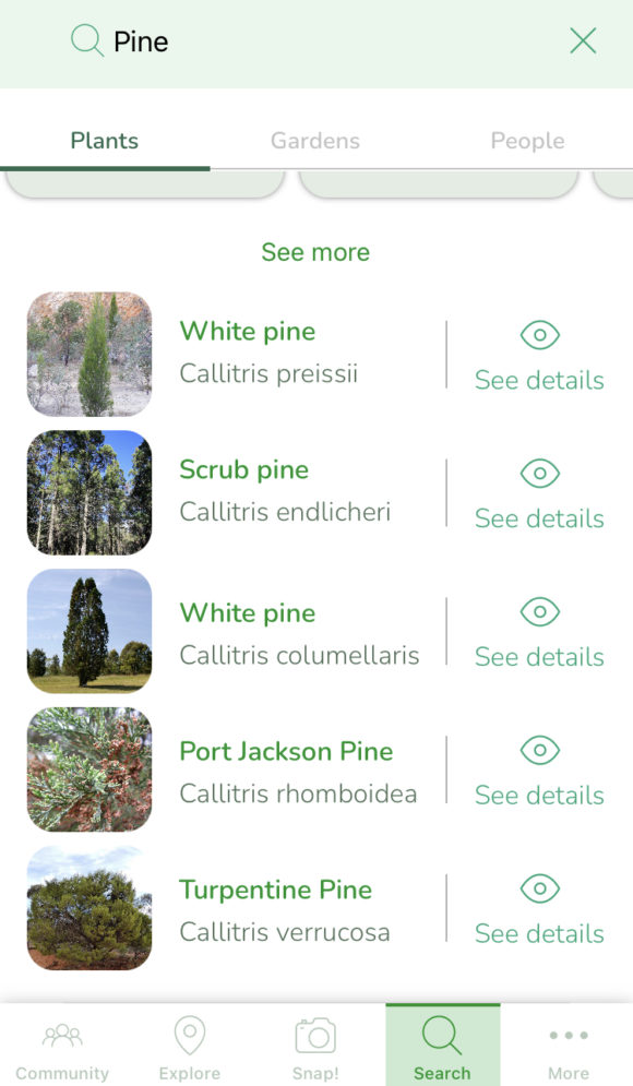 Which Plant ID App Should I Download? - My Wisconsin Woods