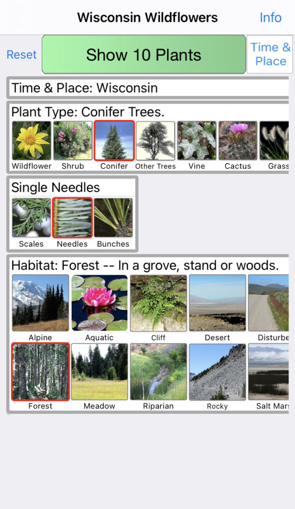 Which Plant ID App Should I Download? - My Wisconsin Woods