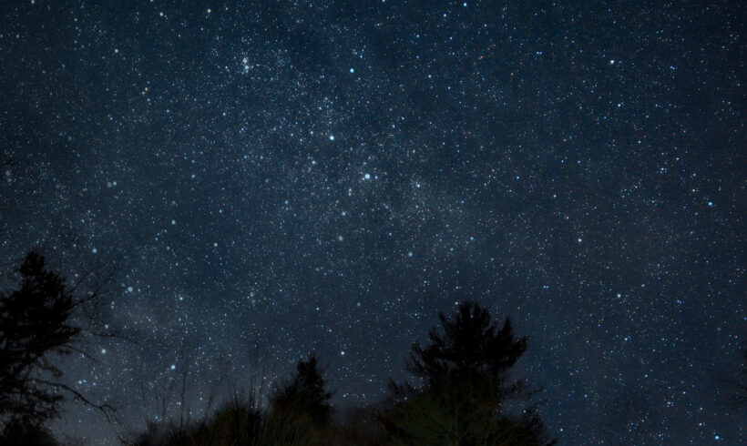 Is Light Pollution Affecting the Wildlife in My Woods? Is Light Pollution Affecting the Wildlife in My Woods?