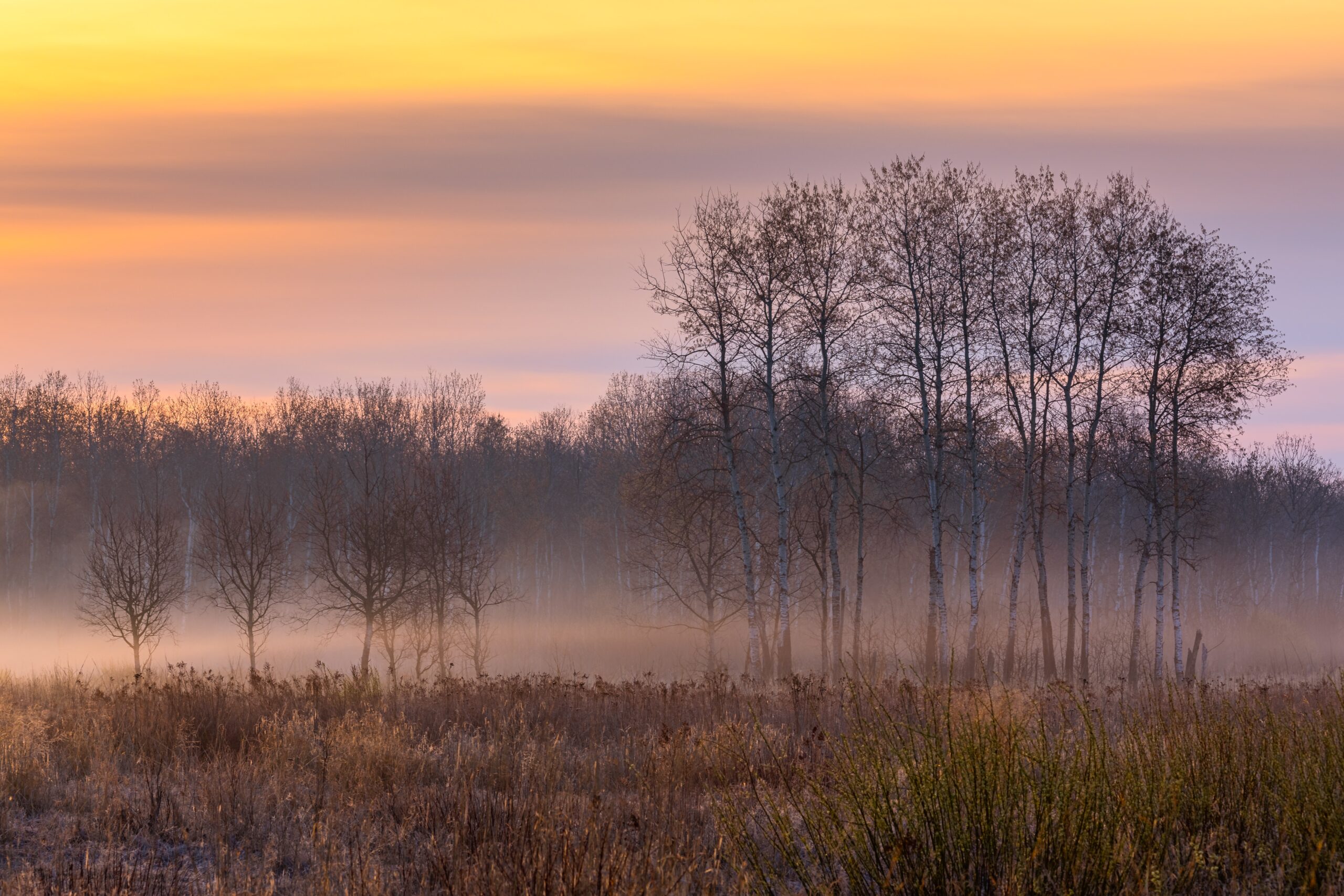 Wisconsin Hunting Heritage & Landowner Forest Management Connect In New Program