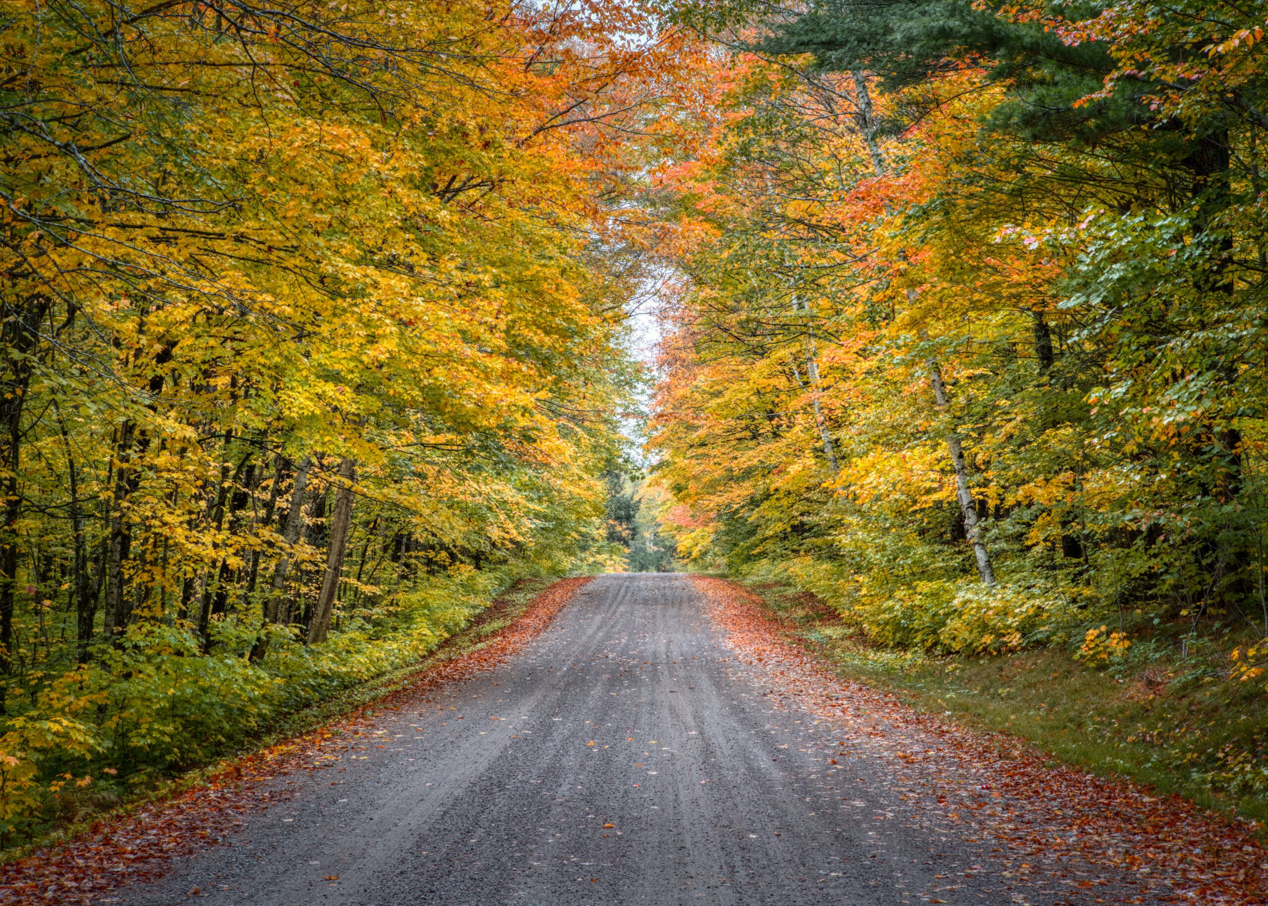 Know your Property Boundaries – UW-Madison Extension Forestry