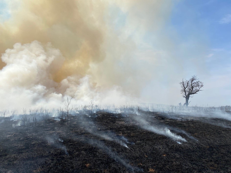 WisBURN | A place for all things ‘burning’ in Wisconsin